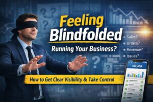 Business Visibility Navigating business challenges with clarity